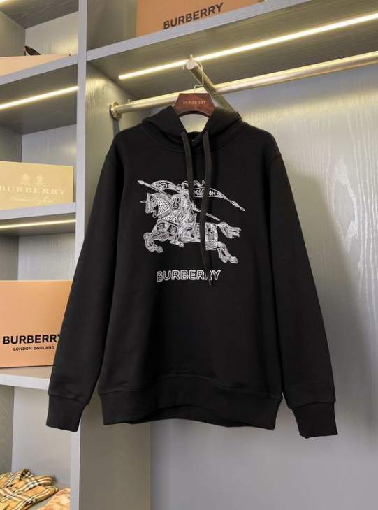 Picture of Burberry Hoodies _SKUBurberryS-2XLaztx87731848